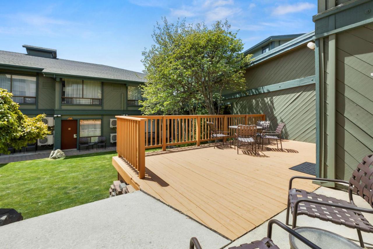 Hotel Western Tree House