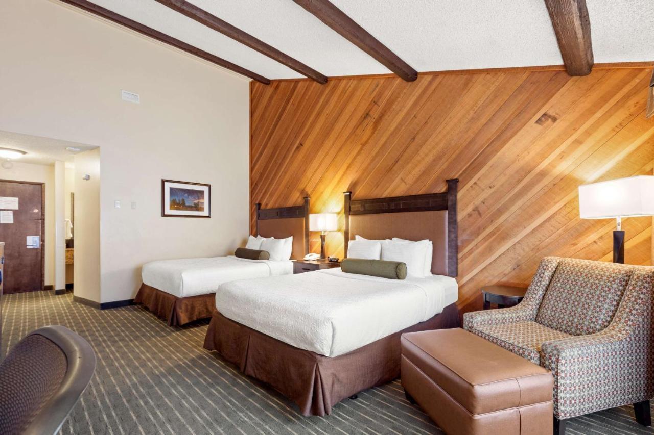 Western Tree House Hotel