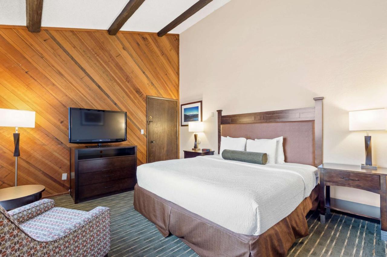 Hotel Best Western Plus Tree House