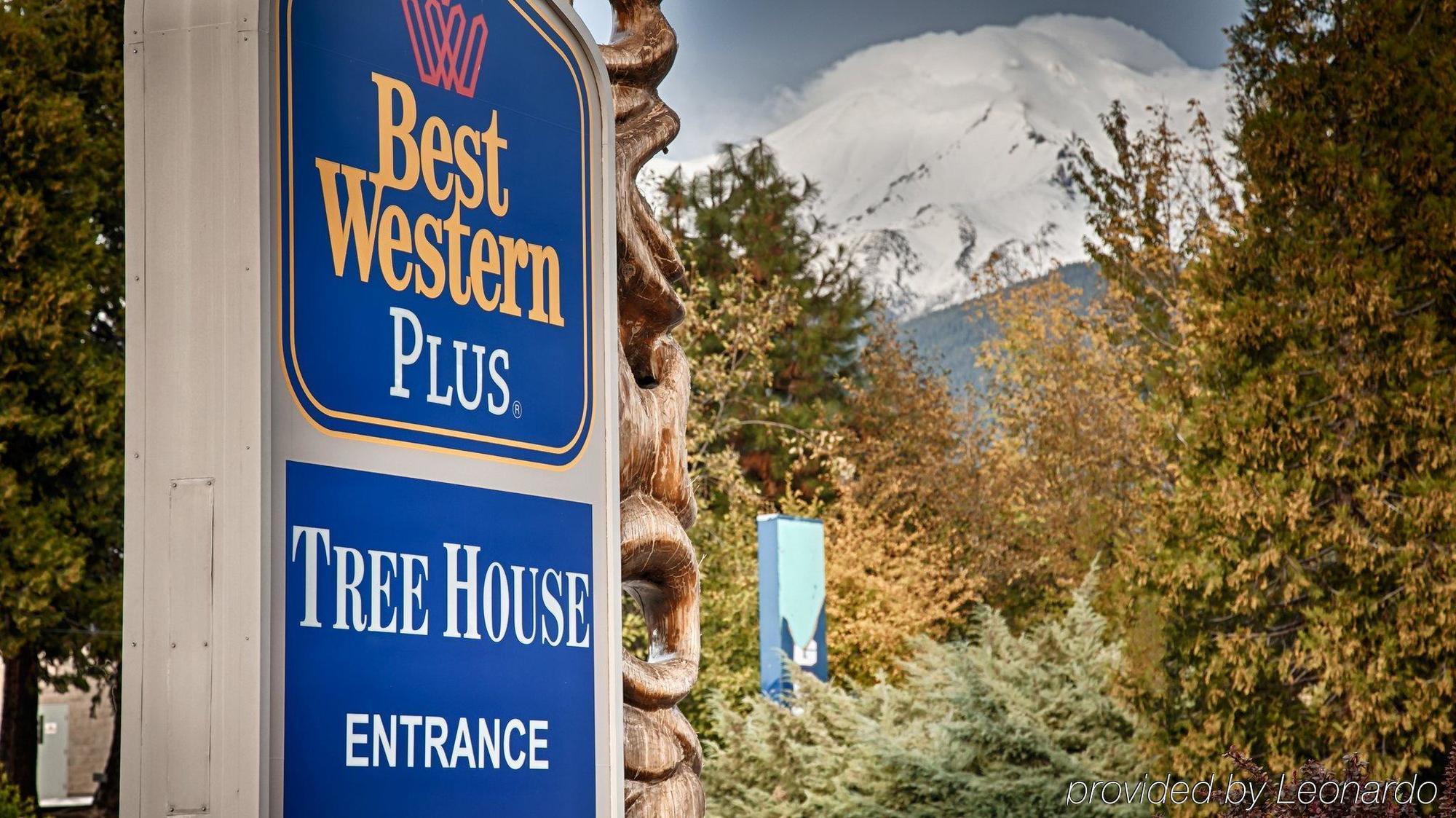 Hotel Western Tree House 4*