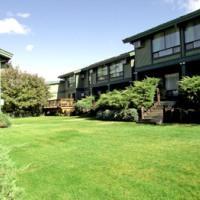 Western Tree House 4*