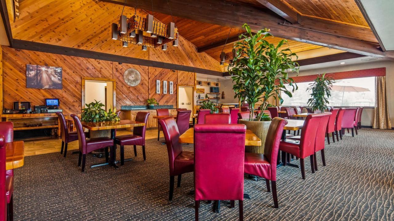 Hotel Western Tree House 4*
