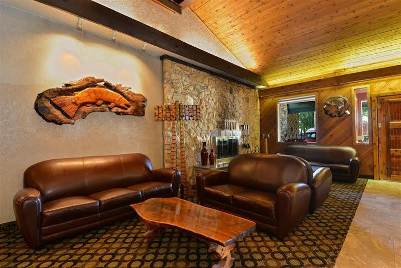 Hotel Western Tree House 4*