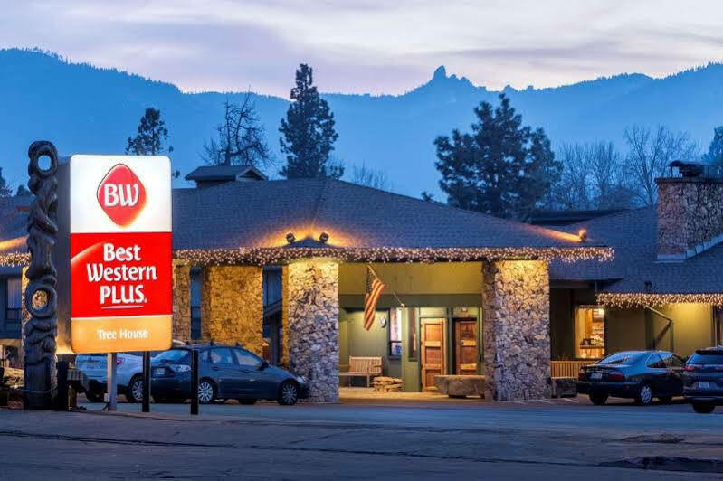 Hotel Best Western Plus Tree House